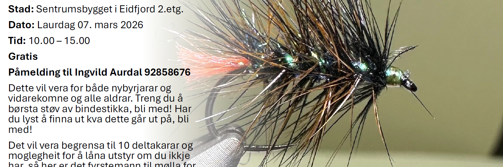 Plakat for kurs i flogebinding