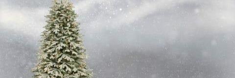 Julegrantenning i Øvre.jpg