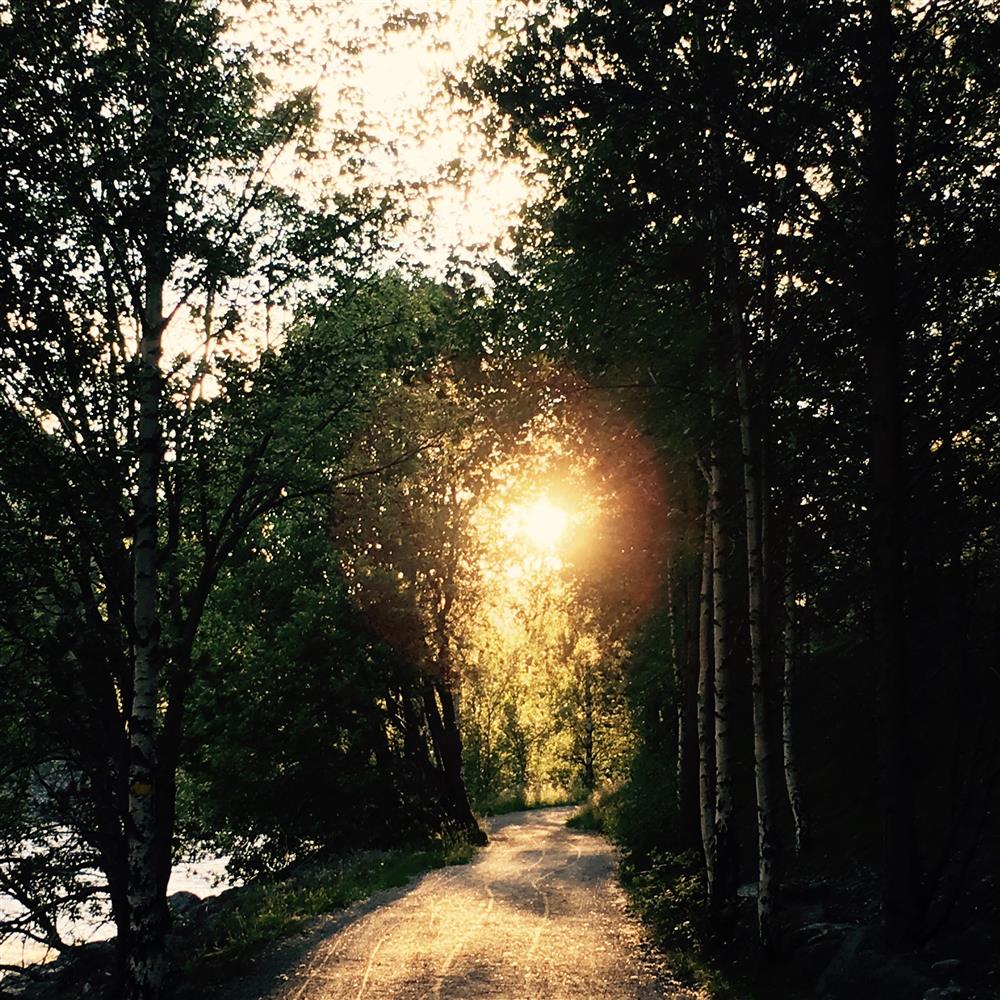 Klikk for stort bilete